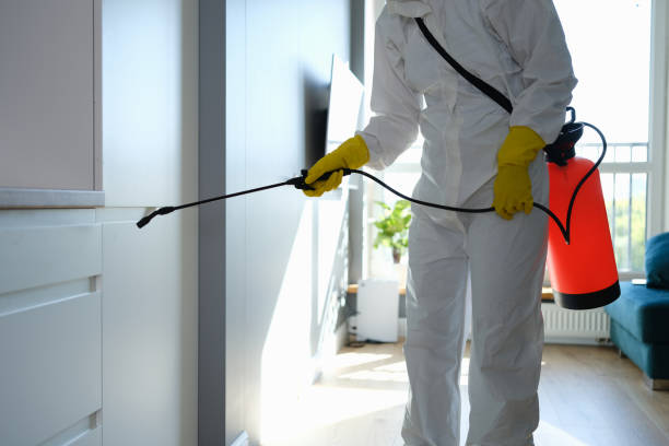 Mold Removal and Inspection in Alamosa East, CO