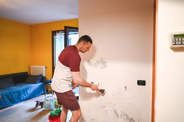 Best Mold Damage Repair  in Alamosa East, CO